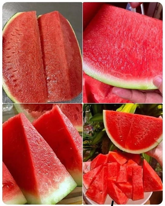 هندوانه شب یلدا