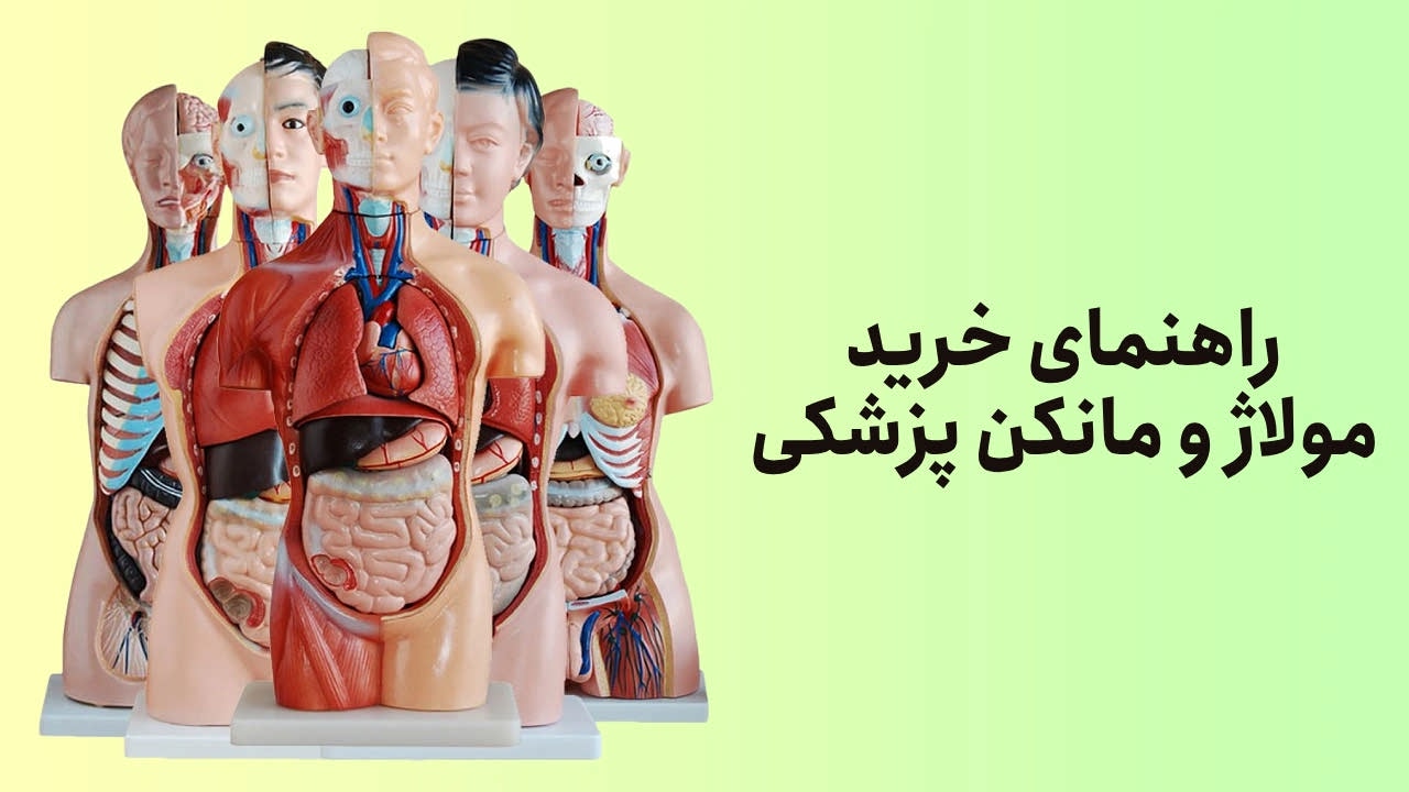راهنمای خرید انواع مولاژ