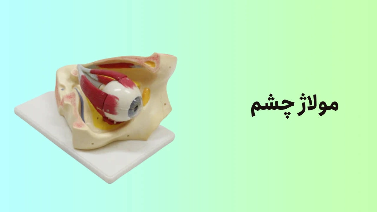 مولاژ چشم