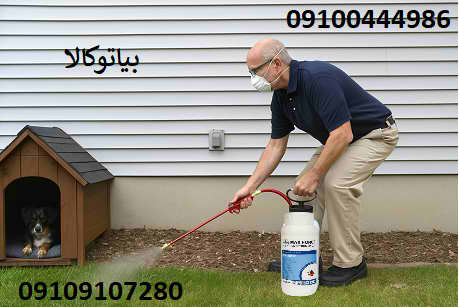 راه‌های طبیعی برای مقابله با کنه