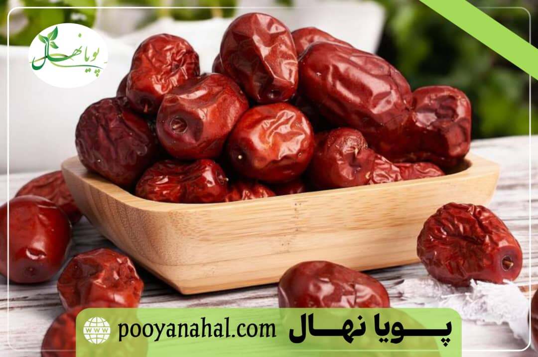 خرید نهال عناب اوکراینی